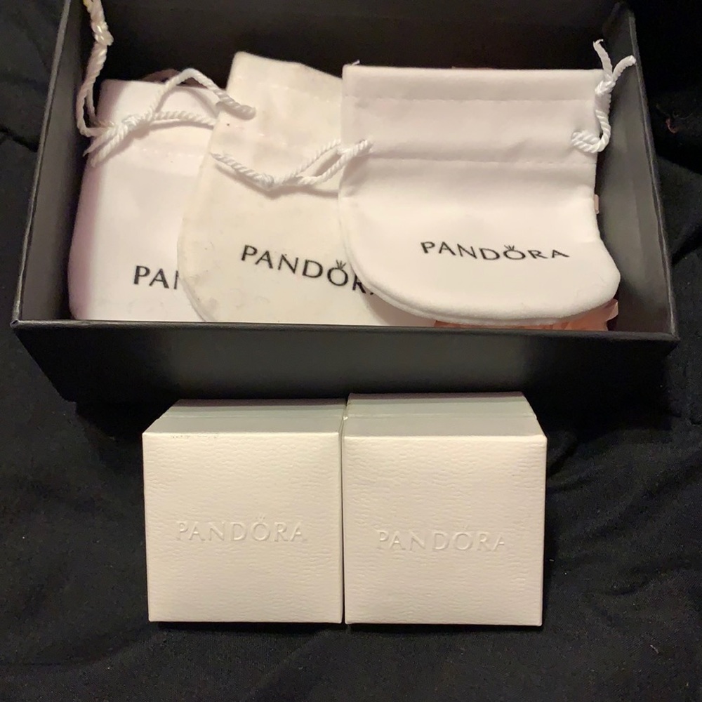 Pandora case